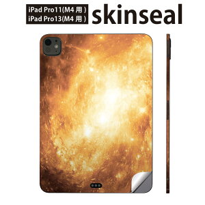 iPadPro 11(M4) iPadPro 13(M4) 2024N 5 p XLV[ 11C` 13C` ipad pro Ή m[gp\R Jo[ P[X tB XebJ[ ANZT[ ی F@́@006435