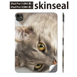 iPadPro 11(M4) iPadPro 13(M4) 2024N 5 p XLV[ 11C` 13C` ipad pro Ή m[gp\R Jo[ P[X tB XebJ[ ANZT[ ی ʐ^@@˂@006477