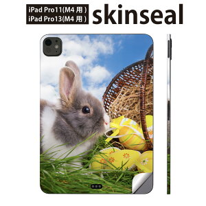 iPadPro 11(M4) iPadPro 13(M4) 2024N 5 p XLV[ 11C` 13C` ipad pro Ή m[gp\R Jo[ P[X tB XebJ[ ANZT[ ی ʐ^@@@006581