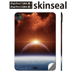 iPadPro 11(M4) iPadPro 13(M4) 2024N 5 p XLV[ 11C` 13C` ipad pro Ή m[gp\R Jo[ P[X tB XebJ[ ANZT[ ی F@z@@006717