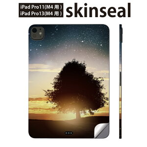 iPadPro 11(M4) iPadPro 13(M4) 2024N 5 p XLV[ 11C` 13C` ipad pro Ή m[gp\R Jo[ P[X tB XebJ[ ANZT[ ی ʐ^@[@@@007486