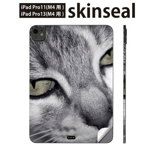 iPadPro 11(M4) iPadPro 13(M4) 2024N 5 p XLV[ 11C` 13C` ipad pro Ή m[gp\R Jo[ P[X tB XebJ[ ANZT[ ی ʐ^@L@˂@mN@00