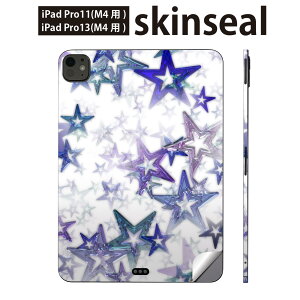 iPadPro 11(M4) iPadPro 13(M4) 2024N 5 p XLV[ 11C` 13C` ipad pro Ή m[gp\R Jo[ P[X tB XebJ[ ANZT[ ی @X^[@͗l@@@00