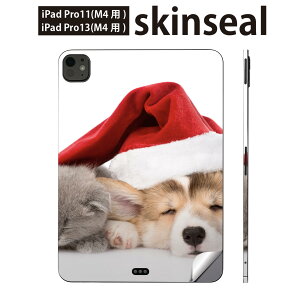 iPadPro 11(M4) iPadPro 13(M4) 2024N 5 p XLV[ 11C` 13C` ipad pro Ή m[gp\R Jo[ P[X tB XebJ[ ANZT[ ی @L@Xq@ʐ^@008645