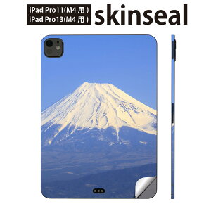 iPadPro 11(M4) iPadPro 13(M4) 2024N 5 p XLV[ 11C` 13C` ipad pro Ή m[gp\R Jo[ P[X tB XebJ[ ANZT[ ی xmR@i@iF@ʐ^@00