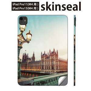 iPadPro 11(M4) iPadPro 13(M4) 2024年発売 第5世代 用 スキンシール 11インチ 13インチ ipad pro 対応 ノートパソコン カバー ケース フィルム ステッカー アクセサリー 保護 外国 風景 写真 009695
