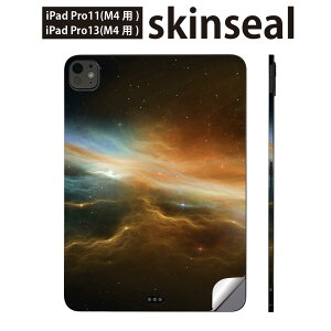 iPadPro 11(M4) iPadPro 13(M4) 2024N 5 p XLV[ 11C` 13C` ipad pro Ή m[gp\R Jo[ P[X tB XebJ[ ANZT[ ی F@@i@010191