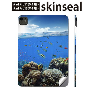 iPadPro 11(M4) iPadPro 13(M4) 2024�N���� ��5���� �p �X�L���V�[�� 11�C���` 13�C���` ipad pro �Ή� �m�[�g�p�\�R�� �J�o�[ �P�[�X �t�B���� �X�e�b�J�[ �A�N�Z�T���[ �ی� �C�@���@�ʐ^�@010920