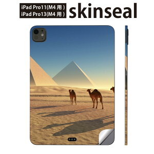 iPadPro 11(M4) iPadPro 13(M4) 2024N 5 p XLV[ 11C` 13C` ipad pro Ή m[gp\R Jo[ P[X tB XebJ[ ANZT[ ی 炭@@s~bh@01