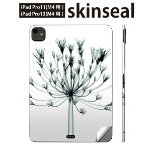 iPadPro 11(M4) iPadPro 13(M4) 2024�N���� ��5���� �p �X�L���V�[�� 11�C���` 13�C���` ipad pro �Ή� �m�[�g�p�\�R�� �J�o�[ �P�[�X �t�B���� �X�e�b�J�[ �A�N�Z�T���[ �ی� �ԁ@�@�F�ʁ@011025