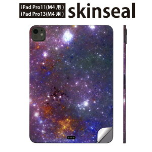 iPadPro 11(M4) iPadPro 13(M4) 2024N 5 p XLV[ 11C` 13C` ipad pro Ή m[gp\R Jo[ P[X tB XebJ[ ANZT[ ی F@@@011146