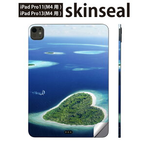 iPadPro 11(M4) iPadPro 13(M4) 2024�N���� ��5���� �p �X�L���V�[�� 11�C���` 13�C���` ipad pro �Ή� �m�[�g�p�\�R�� �J�o�[ �P�[�X �t�B���� �X�e�b�J�[ �A�N�Z�T���[ �ی� �C�@�n�[�g�@���@011391