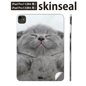 iPadPro 11(M4) iPadPro 13(M4) 2024N 5 p XLV[ 11C` 13C` ipad pro Ή m[gp\R Jo[ P[X tB XebJ[ ANZT[ ی L@@ʐ^@011682