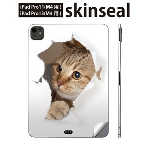 iPadPro 11(M4) iPadPro 13(M4) 2024N 5 p XLV[ 11C` 13C` ipad pro Ή m[gp\R Jo[ P[X tB XebJ[ ANZT[ ی L@ʐ^@013566