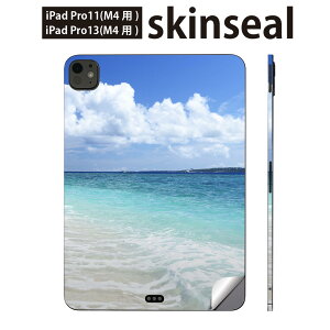 iPadPro 11(M4) iPadPro 13(M4) 2024N 5 p XLV[ 11C` 13C` ipad pro Ή m[gp\R Jo[ P[X tB XebJ[ ANZT[ ی ā@C@C݁@l@@014899