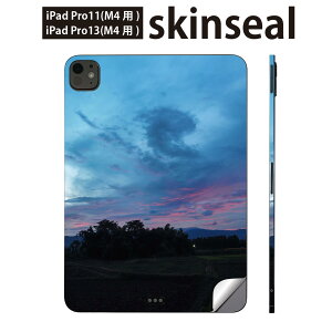 iPadPro 11(M4) iPadPro 13(M4) 2024N 5 p XLV[ 11C` 13C` ipad pro Ή m[gp\R Jo[ P[X tB XebJ[ ANZT[ ی iF@i@R@014906