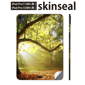 iPadPro 11(M4) iPadPro 13(M4) 2024N 5 p XLV[ 11C` 13C` ipad pro Ή m[gp\R Jo[ P[X tB XebJ[ ANZT[ ی iF@R@i@ʐ^@