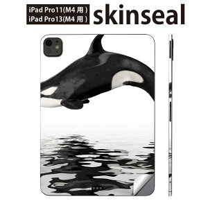 iPadPro 11(M4) iPadPro 13(M4) 2024�N���� ��5���� �p �X�L���V�[�� 11�C���` 13�C���` ipad pro �Ή� �m�[�g�p�\�R�� �J�o�[ �P�[�X �t�B���� �X�e�b�J�[ �A�N�Z�T���[ �ی� �C�@�V���`�@���@015849