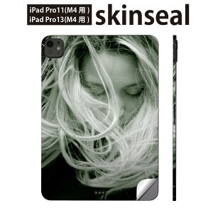 iPadPro 11(M4) iPadPro 13(M4) 2024N 5 p XLV[ 11C` 13C` ipad pro Ή m[gp\R Jo[ P[X tB XebJ[ ANZT[ ی ʐ^ @018316