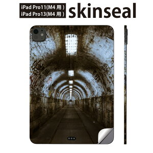 iPadPro 11(M4) iPadPro 13(M4) 2024�N���� ��5���� �p �X�L���V�[�� 11�C���` 13�C���` ipad pro �Ή� �m�[�g�p�\�R�� �J�o�[ �P�[�X �t�B���� �X�e�b�J�[ �A�N�Z�T���[ �ی� �O���t�B�e�B�@018318
