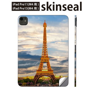 iPadPro 11(M4) iPadPro 13(M4) 2024N 5 p XLV[ 11C` 13C` ipad pro Ή m[gp\R Jo[ P[X tB XebJ[ ANZT[ ی ʐ^ GbtF p@018324