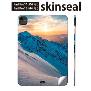 iPadPro 11(M4) iPadPro 13(M4) 2024N 5 p XLV[ 11C` 13C` ipad pro Ή m[gp\R Jo[ P[X tB XebJ[ ANZT[ ی R ʐ^ @018337