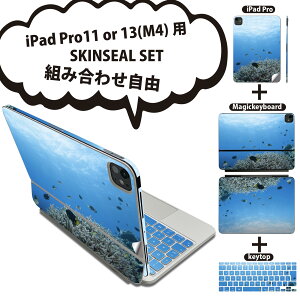 iPad Pro11(M4)�p iPad Pro13(M4)�p �X�L���V�[�� 11�C���` 13�C���` Magic Keyboard keytop 2024�N���� ��5���� �Ή� �e��Z�b�g �g�ݍ��킹���R �S�� �t�� �O�� �w�� �ی�V�[�� �l�C �C �� ���R �T���S 000060