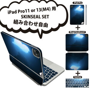 iPad Pro11(M4)p iPad Pro13(M4)p XLV[ 11C` 13C` Magic Keyboard keytop 2024N 5 Ή eZbg gݍ킹R S t O w یV[ lC n[g  C 000068