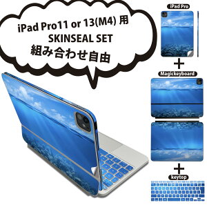 iPad Pro11(M4)p iPad Pro13(M4)p XLV[ 11C` 13C` Magic Keyboard keytop 2024N 5 Ή eZbg gݍ킹R S t O w یV[ lC C  iF 000071