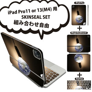 iPad Pro11(M4)p iPad Pro13(M4)p XLV[ 11C` 13C` Magic Keyboard keytop 2024N 5 Ή eZbg gݍ킹R S t O w یV[ lC dC n d 000425