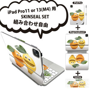 iPad Pro11(M4)p iPad Pro13(M4)p XLV[ 11C` 13C` Magic Keyboard keytop 2024N 5 Ή eZbg gݍ킹R S t O w یV[ lC t[c L 000813