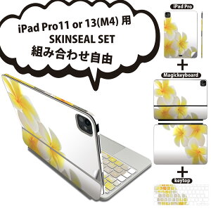 iPad Pro11(M4)p iPad Pro13(M4)p XLV[ 11C` 13C` Magic Keyboard keytop 2024N 5 Ή eZbg gݍ킹R S t O w یV[ lC  vA 001027