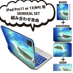 iPad Pro11(M4)p iPad Pro13(M4)p XLV[ 11C` 13C` Magic Keyboard keytop 2024N 5 Ή eZbg gݍ킹R S t O w یV[ lC  C 001045