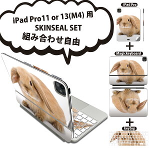 iPad Pro11(M4)p iPad Pro13(M4)p XLV[ 11C` 13C` Magic Keyboard keytop 2024N 5 Ή eZbg gݍ킹R S t O w یV[ lC   001112