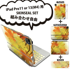 iPad Pro11(M4)�p iPad Pro13(M4)�p �X�L���V�[�� 11�C���` 13�C���` Magic Keyboard keytop 2024�N���� ��5���� �Ή� �e��Z�b�g �g�ݍ��킹���R �S�� �t�� �O�� �w�� �ی�V�[�� �l�C �g�t �H 001288