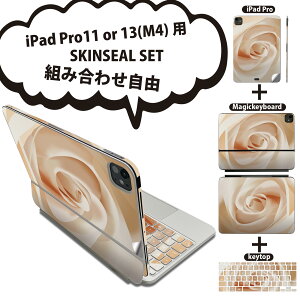 iPad Pro11(M4)p iPad Pro13(M4)p XLV[ 11C` 13C` Magic Keyboard keytop 2024N 5 Ή eZbg gݍ킹R S t O w یV[ lC  KN 001322