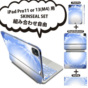 iPad Pro11(M4)p iPad Pro13(M4)p XLV[ 11C` 13C` Magic Keyboard keytop 2024N 5 Ή eZbg gݍ킹R S t O w یV[ lC z _  001386