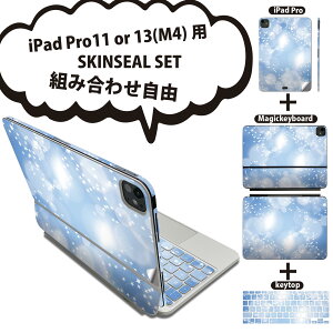 iPad Pro11(M4)p iPad Pro13(M4)p XLV[ 11C` 13C` Magic Keyboard keytop 2024N 5 Ή eZbg gݍ킹R S t O w یV[ lC LL  001761