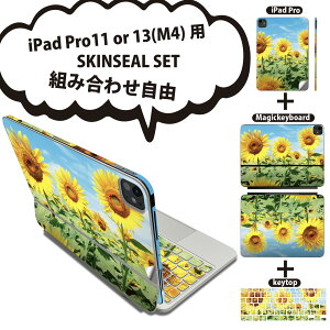 iPad Pro11(M4)p iPad Pro13(M4)p XLV[ 11C` 13C` Magic Keyboard keytop 2024N 5 Ή eZbg gݍ킹R S t O w یV[ lC  Ђ܂ ʐ^ 002501