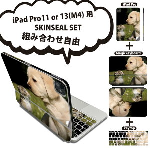 iPad Pro11(M4)p iPad Pro13(M4)p XLV[ 11C` 13C` Magic Keyboard keytop 2024N 5 Ή eZbg gݍ킹R S t O w یV[ lC  L  ʐ^ 002794