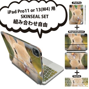 iPad Pro11(M4)p iPad Pro13(M4)p XLV[ 11C` 13C` Magic Keyboard keytop 2024N 5 Ή eZbg gݍ킹R S t O w یV[ lC   ʐ^ 002807