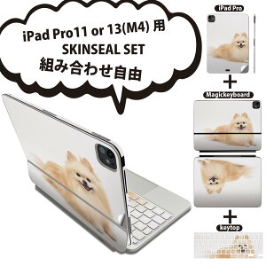 iPad Pro11(M4)p iPad Pro13(M4)p XLV[ 11C` 13C` Magic Keyboard keytop 2024N 5 Ή eZbg gݍ킹R S t O w یV[ lC   ʐ^ 002911