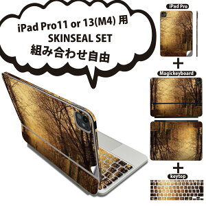 iPad Pro11(M4)p iPad Pro13(M4)p XLV[ 11C` 13C` Magic Keyboard keytop 2024N 5 Ή eZbg gݍ킹R S t O w یV[ lC iF i G CXg 