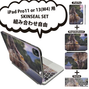 iPad Pro11(M4)�p iPad Pro13(M4)�p �X�L���V�[�� 11�C���` 13�C���` Magic Keyboard keytop 2024�N���� ��5���� �Ή� �e��Z�b�g �g�ݍ��킹���R �S�� �t�� �O�� �w�� �ی�V�[�� �l�C �l�� �q�� �ʐ^ 023111