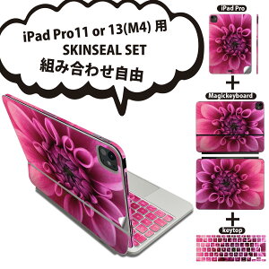 iPad Pro11(M4)p iPad Pro13(M4)p XLV[ 11C` 13C` Magic Keyboard keytop 2024N 5 Ή eZbg gݍ킹R S t O w یV[ lC  t[ 023184