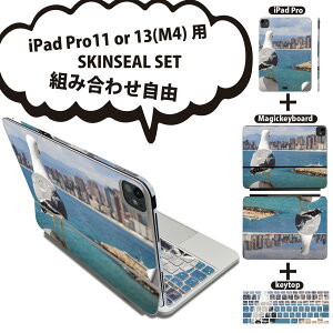 iPad Pro11(M4)p iPad Pro13(M4)p XLV[ 11C` 13C` Magic Keyboard keytop 2024N 5 Ή eZbg gݍ킹R S t O w یV[ lC   C 023777