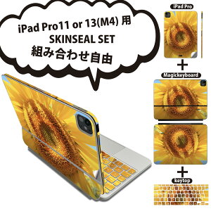 iPad Pro11(M4)p iPad Pro13(M4)p XLV[ 11C` 13C` Magic Keyboard keytop 2024N 5 Ή eZbg gݍ킹R S t O w یV[ lC  t[ Ђ܂ 0238