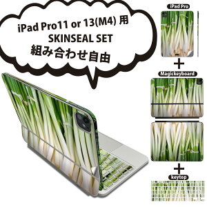 iPad Pro11(M4)p iPad Pro13(M4)p XLV[ 11C` 13C` Magic Keyboard keytop 2024N 5 Ή eZbg gݍ킹R S t O w یV[ lC  lM ʐ^ 025602