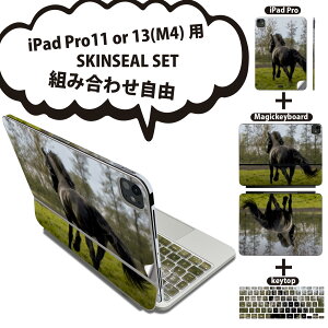 iPad Pro11(M4)p iPad Pro13(M4)p XLV[ 11C` 13C` Magic Keyboard keytop 2024N 5 Ή eZbg gݍ킹R S t O w یV[ lC n   026005