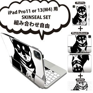 iPad Pro11(M4)p iPad Pro13(M4)p XLV[ 11C` 13C` Magic Keyboard keytop 2024N 5 Ή eZbg gݍ킹R S t O w یV[ lC   Č 026241